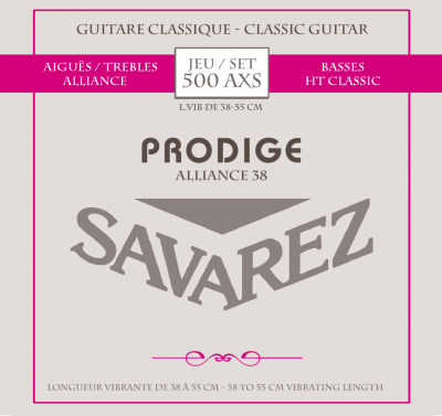 PRODIGE 500AXS PRODIGE 500AXS